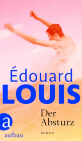 Cover für Der Absturz