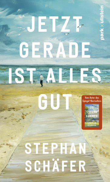 Cover für Jetzt gerade ist alles gut