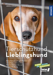 Cover für Tierschutzhund Lieblingshund