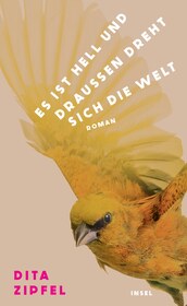 Cover für Es ist hell und draußen dreht sich die Welt
