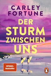 Cover für Der Sturm zwischen uns