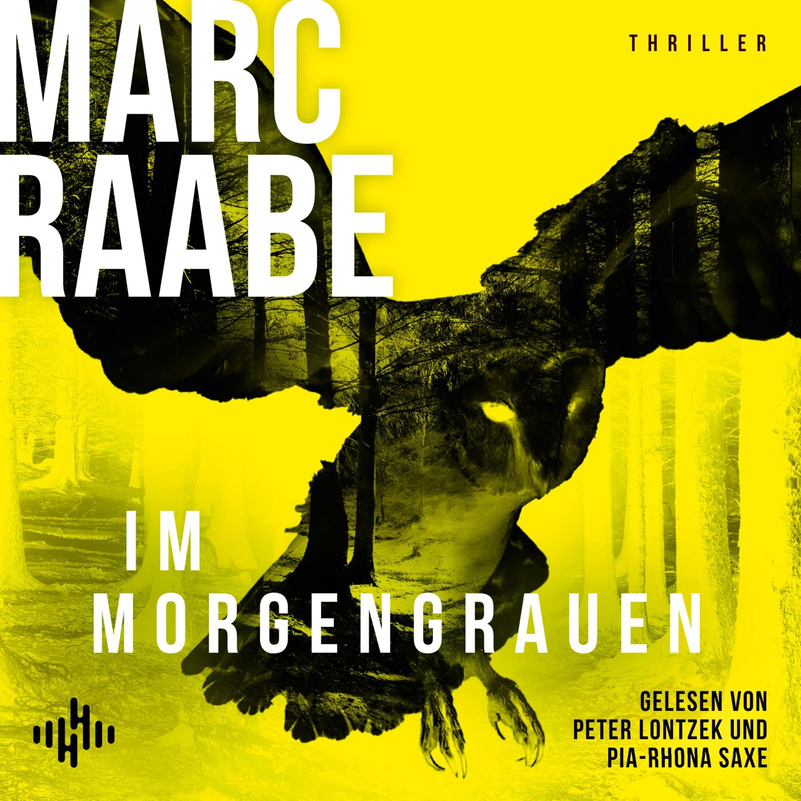 Cover für das Im Morgengrauen Hörbuch