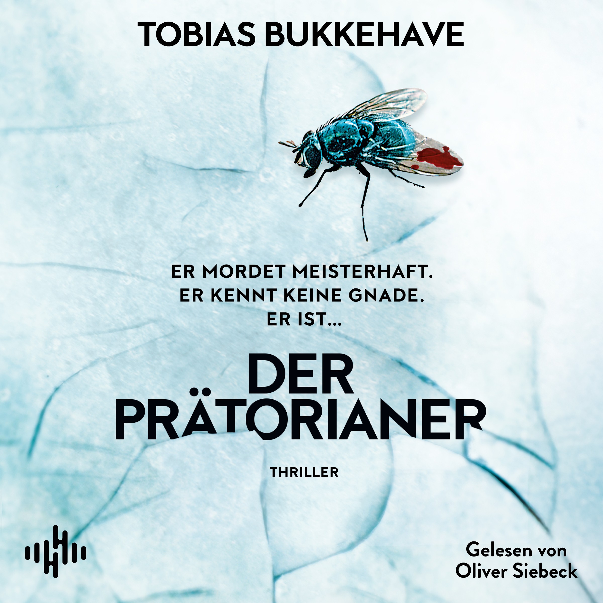 Cover für das Der Prätorianer Hörbuch