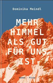 Cover für Mehr Himmel, als gut für uns ist
