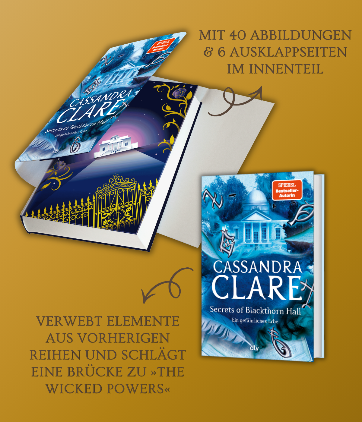 Clare Begleitbuch 1