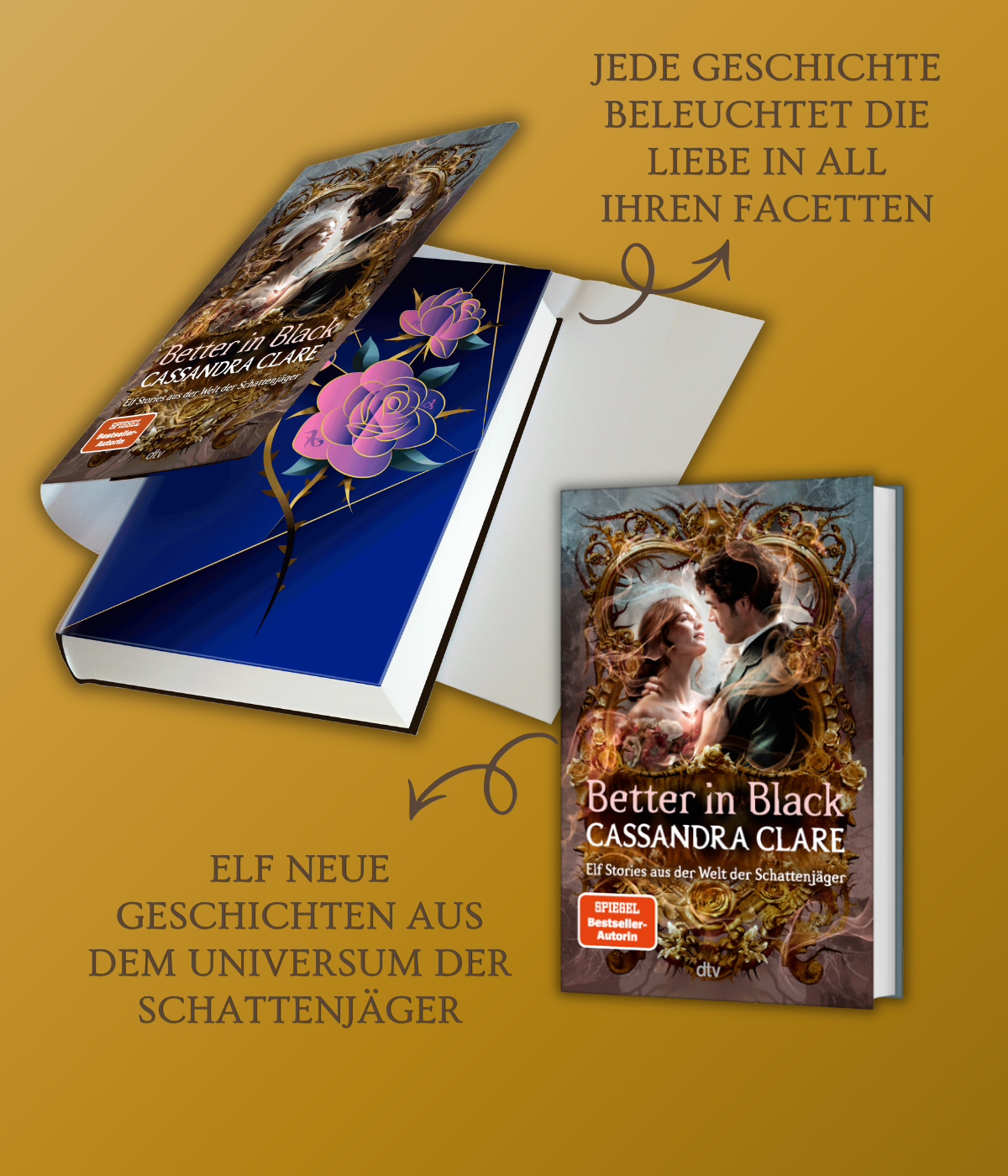Clare Begleitbuch 2