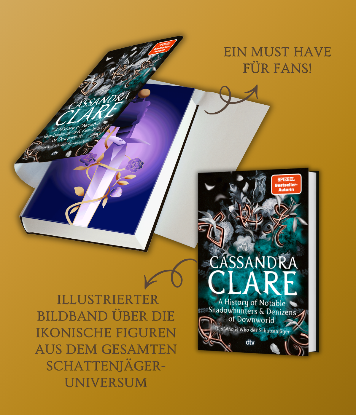 Clare Begleitbuch 3