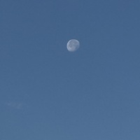 moony95 Avatar