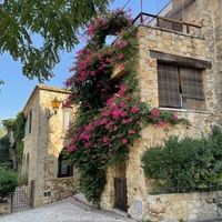 bella-maya263 Avatar