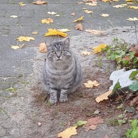 leni_katharina Avatar