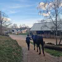 leoniesbookworld Avatar