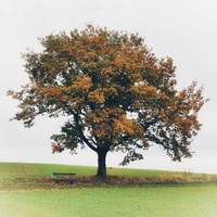 birv567 Avatar