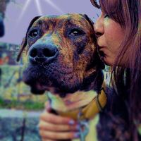 nutellagirlie Avatar