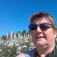 susanne wieshofer Avatar